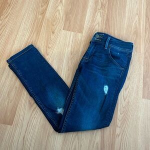 Hudson Distressed Skinny Jeans